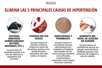 Incasol© - presión arterial normal desde el primer uso. Un resultado duradero